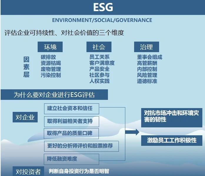 双碳战略咨询服务(双碳战略是什么意思)金华市