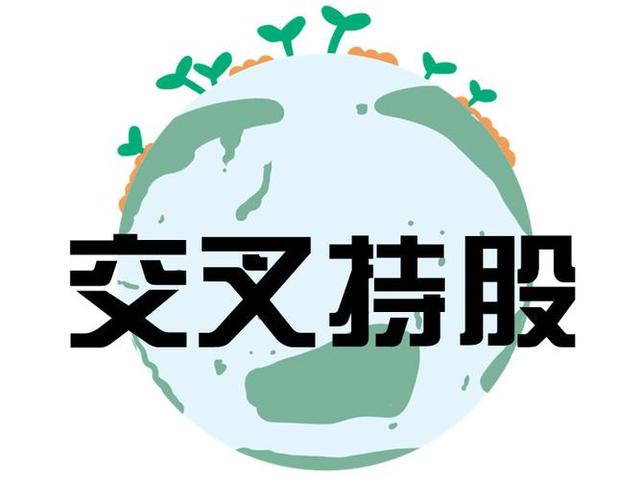 交叉持股安排设计(交叉持股怎么计算持股比例)金华市
